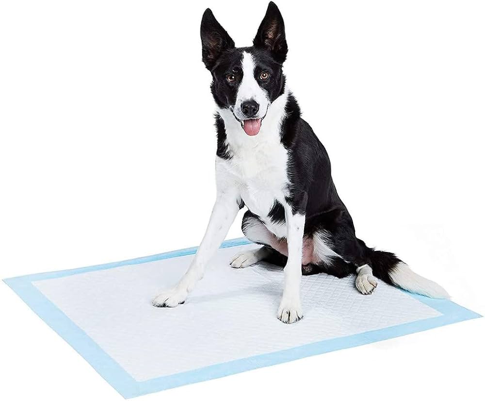 NathPet Dog Training Pads | Super Absorbent Puppy Pee Pads | Leak-Proof, Odor Control | Pack of 10