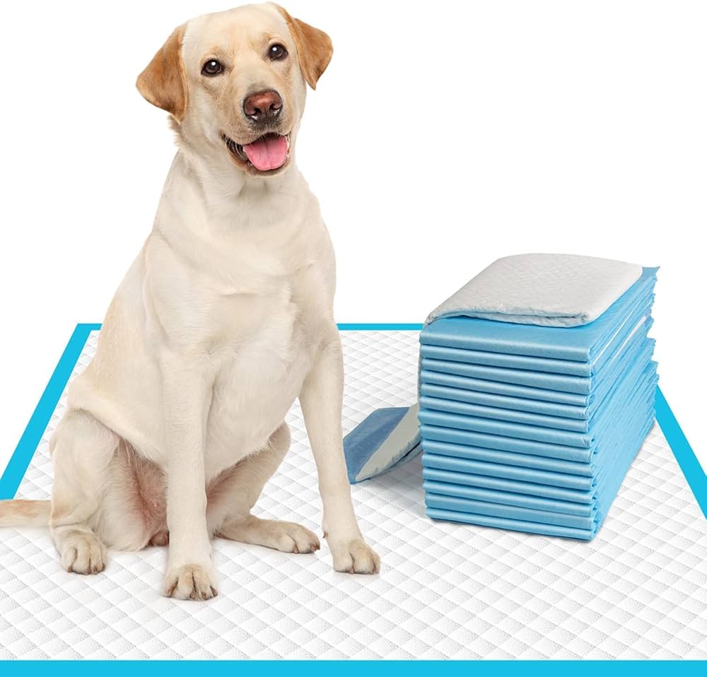 NathPet Dog Training Pads | Super Absorbent Puppy Pee Pads | Leak-Proof, Odor Control | Pack of 10